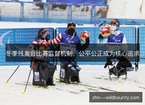 冬季残奥会比赛监督机制,公平公正成为核心追求 冬季残奥会比赛监督机制,公平公正成为核心追求